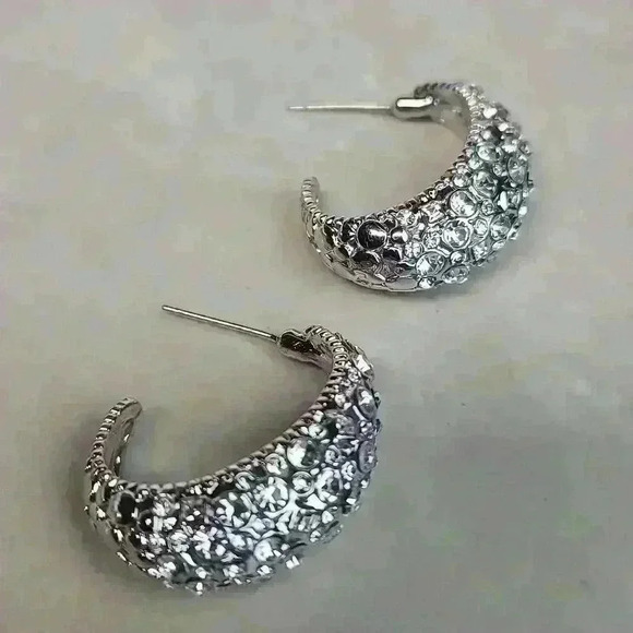 Slivertone rehnistones half moon earrings - Picture 5 of 11